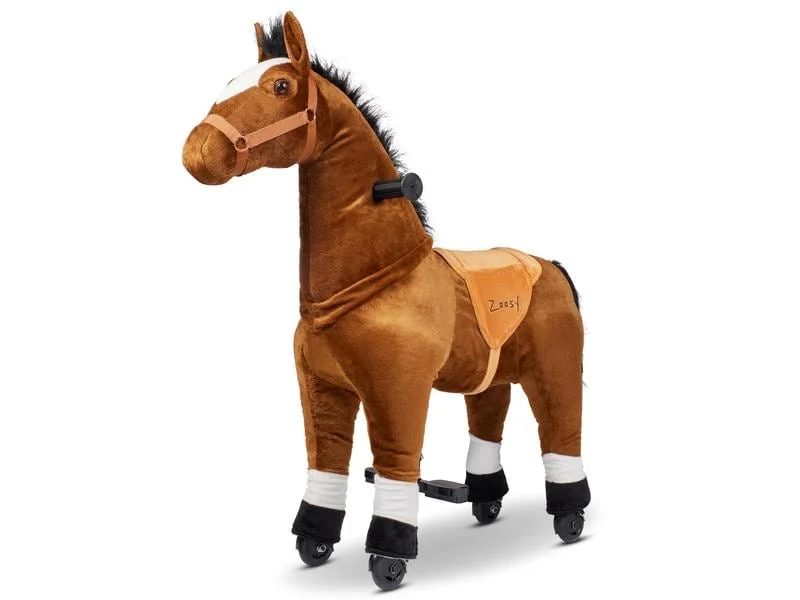 brack-35447962